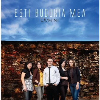 Esti Bucuria Mea by Domini