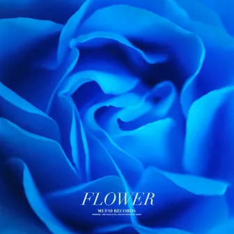 Flower (feat. Papito) by Papito