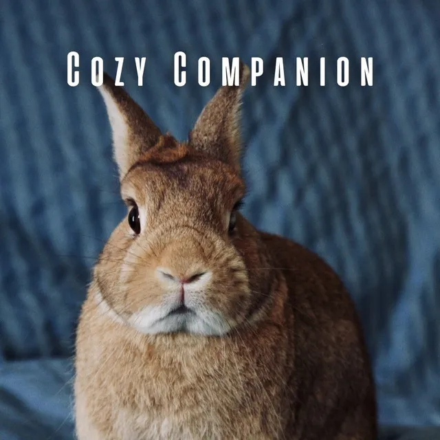 Cozy Companion: Chill Music for Your Pet's Bliss