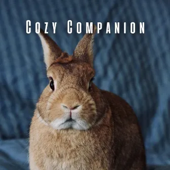 Cozy Companion: Chill Music for Your Pet's Bliss by Soft Sounds