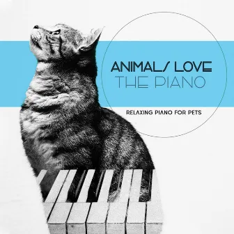 Animals Love The Piano by Relaxing Piano For Pets