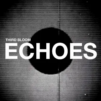 Echoes by Unknown Artist