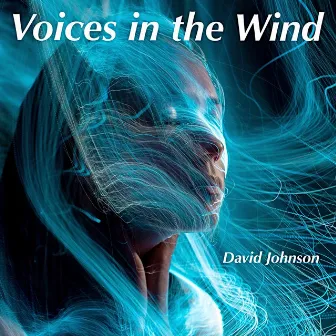 Voices in the Wind by David Johnson