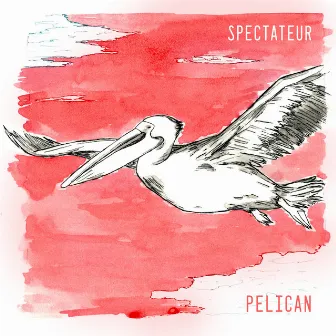 Pelican by Spectateur