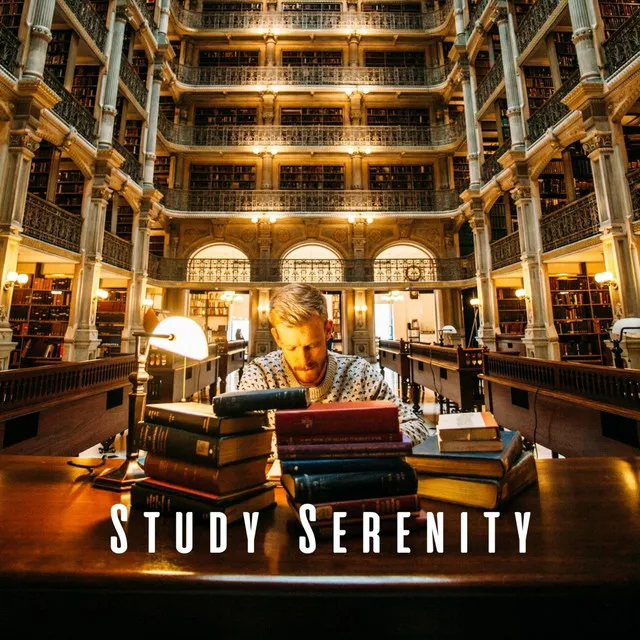 Study Serenity: Chill Sounds for Focused Learning