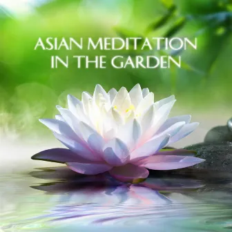 Asian Meditation in the Garden (30 Tracks for Evening Mindfulness) by Guo Yang Peng