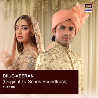 Dil-E-Veeran (Original TV Series Soundtrack) by Shae Gill