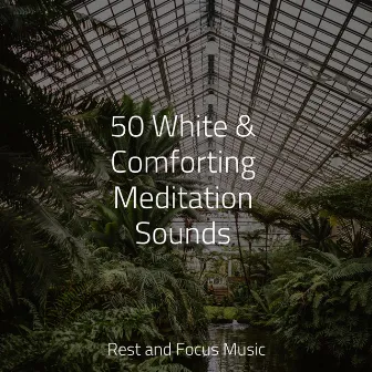 50 White & Comforting Meditation Sounds by Spa Brainwave Entrainment