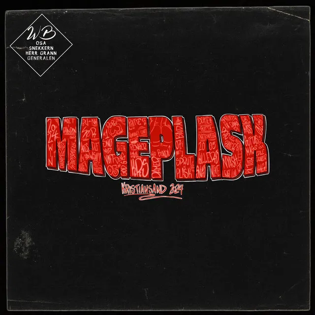 Mageplask