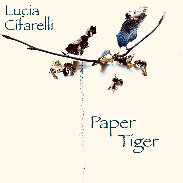 Paper Tiger