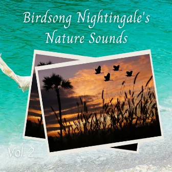 Birdsong Nightingale's Nature Sounds Vol. 2 by Sleep