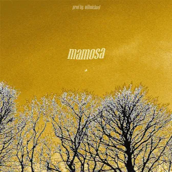 MAMOSA by p j