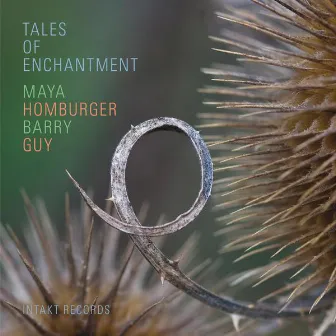 Tales of Enchantment by Maya Homburger