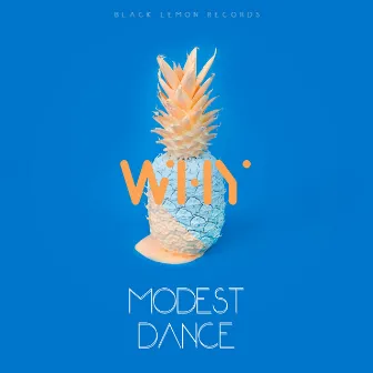 Why by Modest Dance