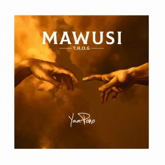 MAWUSI by Yaa Pono