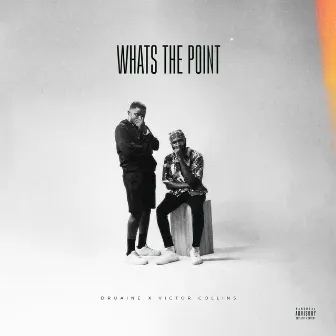 Whats the Point by Victor Collins