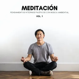 Meditación: Pensamientos Internos Pacíficos Con Música Ambiental Vol. 1 by Pajaros Tropicales