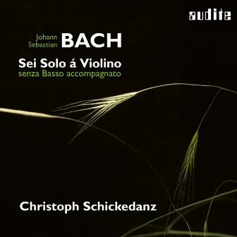 Bach: Sonatas and Partitas for Solo Violin (Sei Solo á Violino senza Basso accompagnato) by Christoph Schickedanz