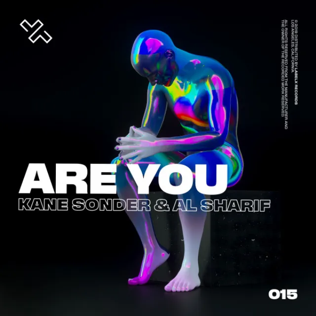 Are You - Radio Edit