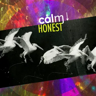 Honest by CALMDOWN