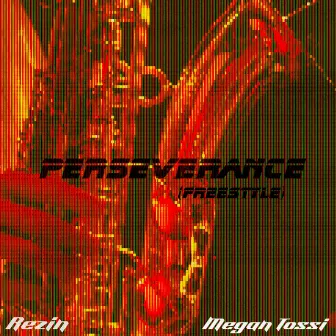 Perseverance (Freestyle) by Megan Tossi