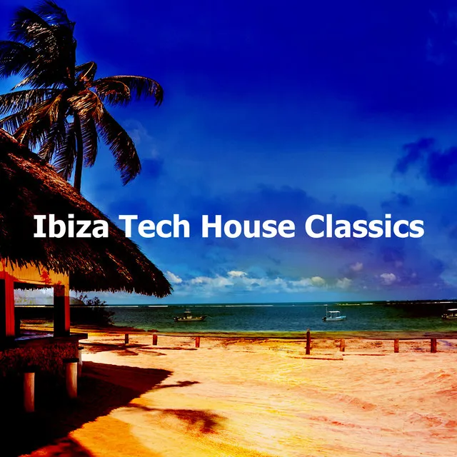 Ibiza Tech House Classics