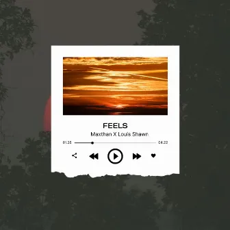 FEELS by Louis Shawn