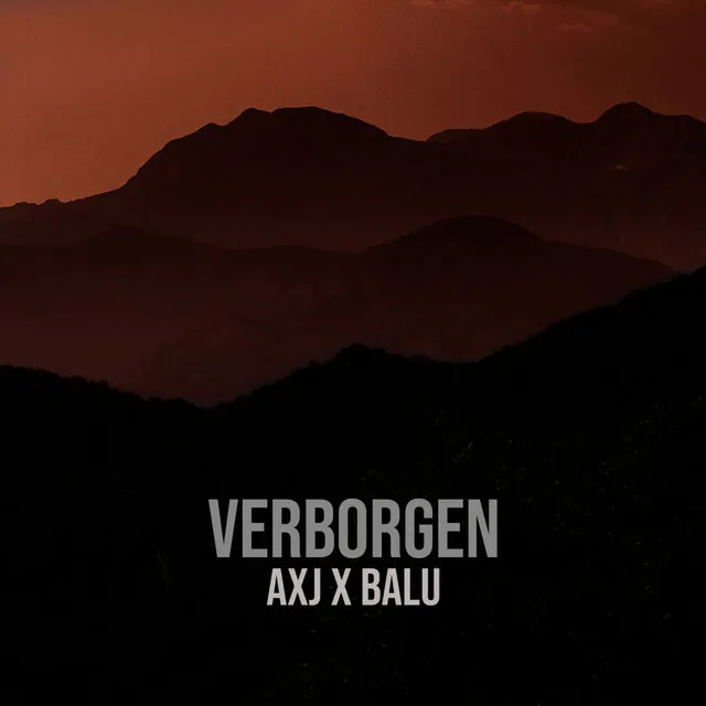 Verborgen