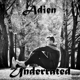 Underrated by Adien