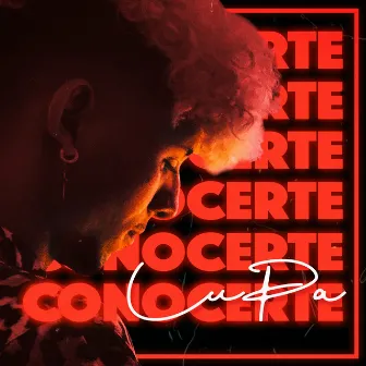 Conocerte by Lupa