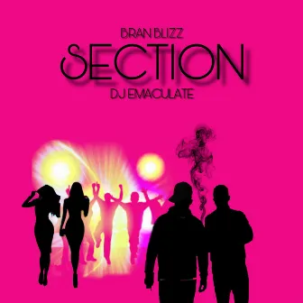 Section by Dj Emaculate