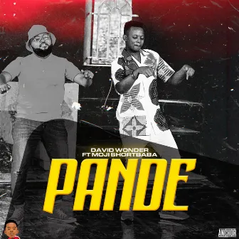 Pande by David Wonder