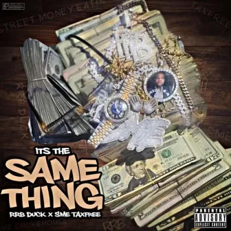 It’s The Same Thing by RRB Duck