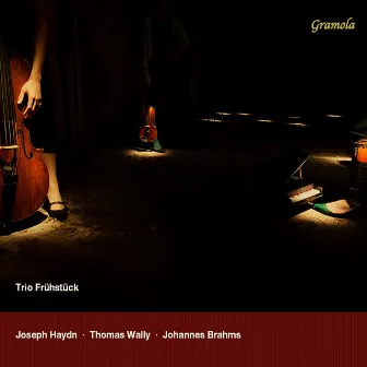 Haydn, Wally & Brahms: Works for Piano Trio by Trio Frühstück