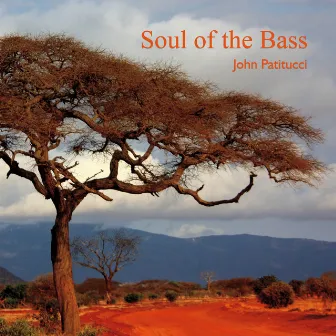 Soul of the Bass by John Patitucci