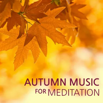 Autumn Music for Meditation - Healing Relaxing Nature Sounds, Rain and Forest Sounds With Soothing Calming Music for Fall Relaxation and Meditation by Autumn Music Fall Sounds Ensemble