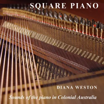 Square Piano by Diana Weston