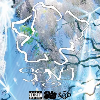 SGV1 by SURF GANG