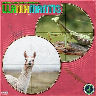 Llamamantis by Mantis The Miasma