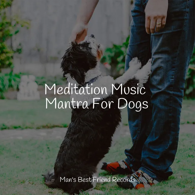 Meditating Music