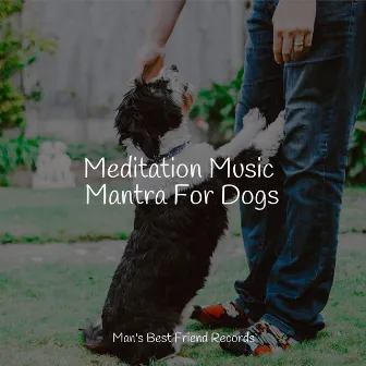 Meditation Music Mantra For Dogs by Unknown Artist