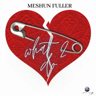 What 2 Do by Meshun Fuller