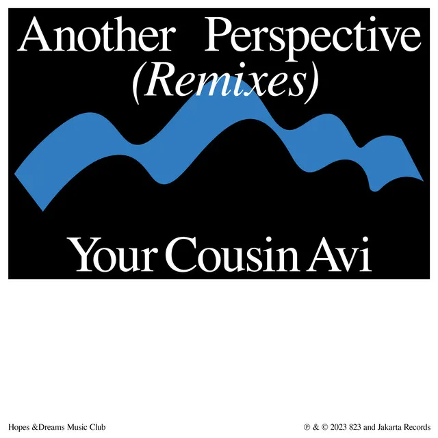 another perspective (Your Cousin Avi Remix)