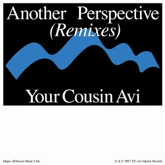 another perspective (Your Cousin Avi Remix) by Your Cousin Avi