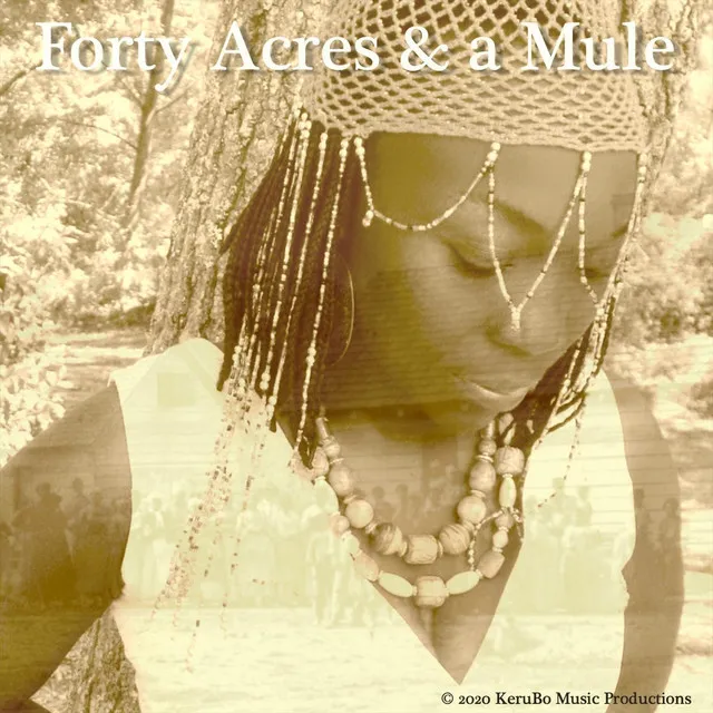 Forty Acres and a Mule