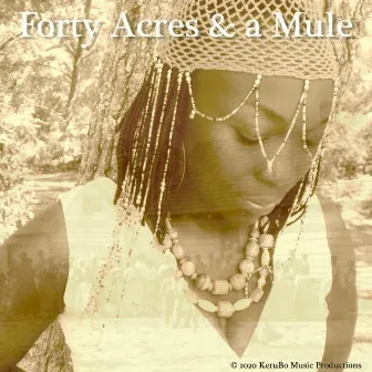 Forty Acres and a Mule by Kerubo