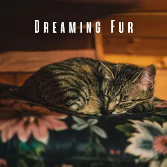 Dreaming Fur: Chill Music for Cats' Rest by Joshua Tree