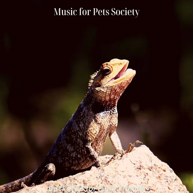 Music for Pets Society