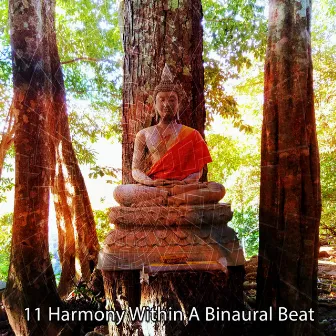 11 Harmony Within A Binaural Beat by Unknown Artist