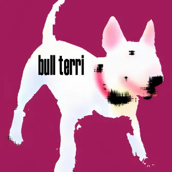 bull terri by Kezo!